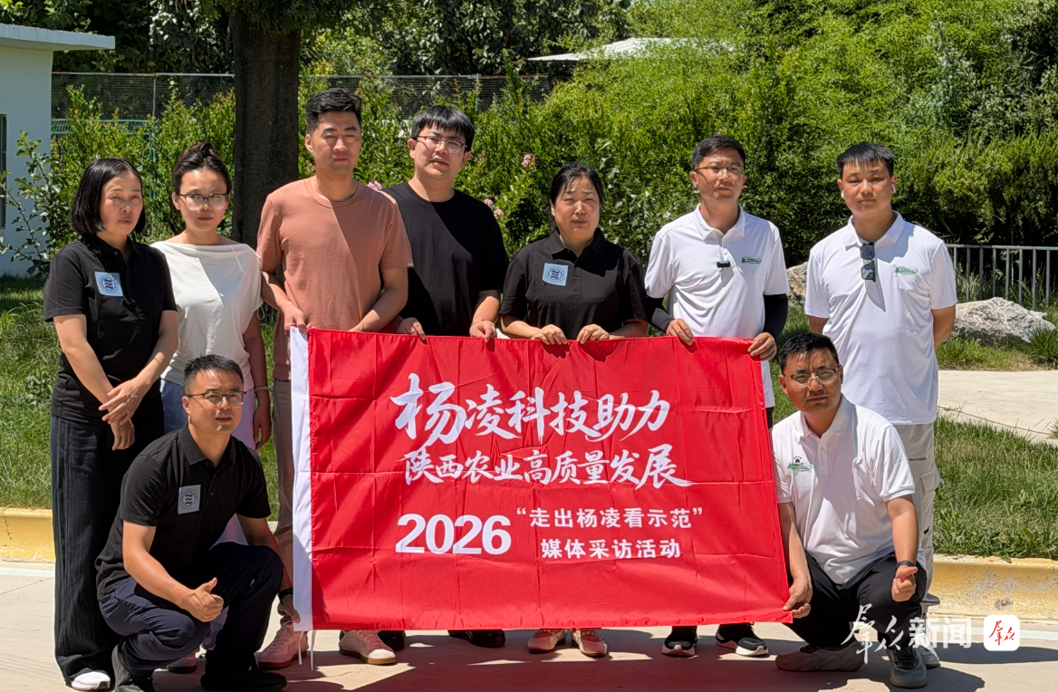 电子游艺官网