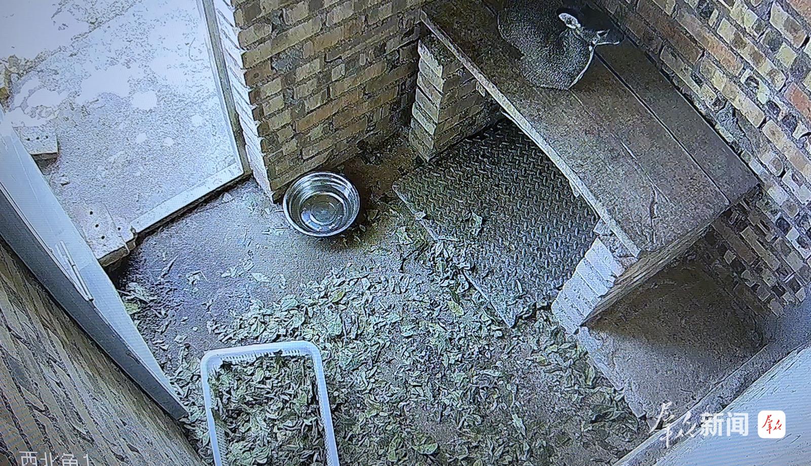 电子游艺官网