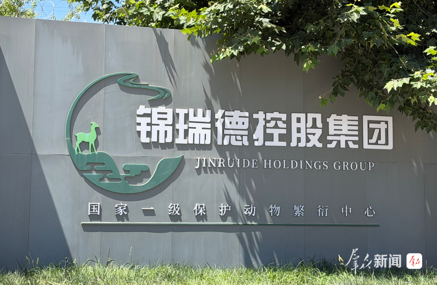 电子游艺官网